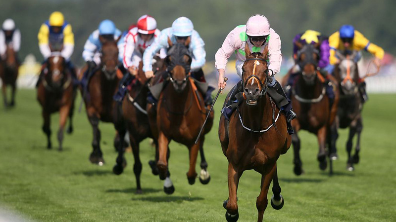 Royal Ascot Banbury Limo Hire